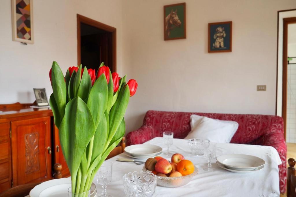 Casa Volpe Apartment Magliano Alfieri Luaran gambar